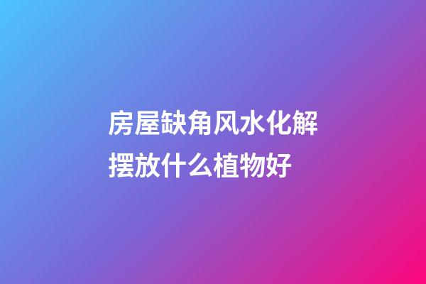 房屋缺角风水化解摆放什么植物好