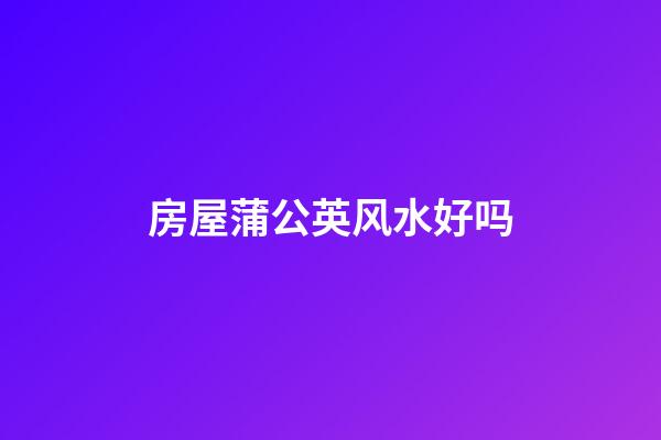 房屋蒲公英风水好吗