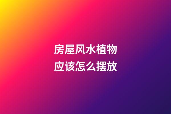 房屋风水植物应该怎么摆放