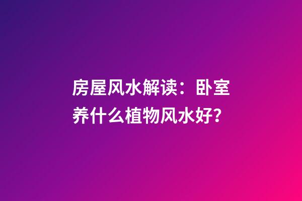 房屋风水解读：卧室养什么植物风水好？