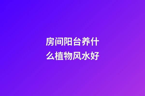 房间阳台养什么植物风水好