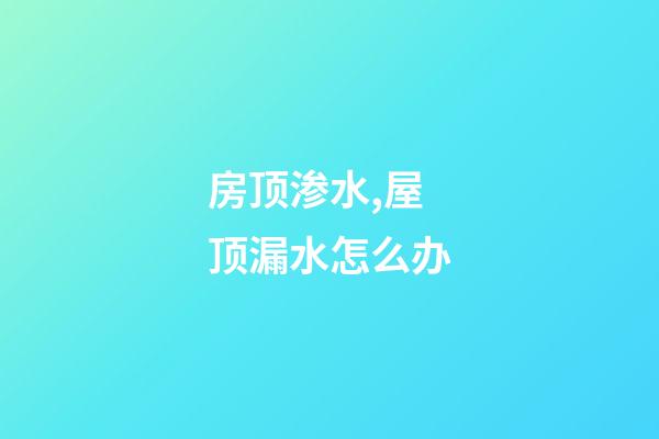 房顶渗水,屋顶漏水怎么办-第1张-观点-玄机派