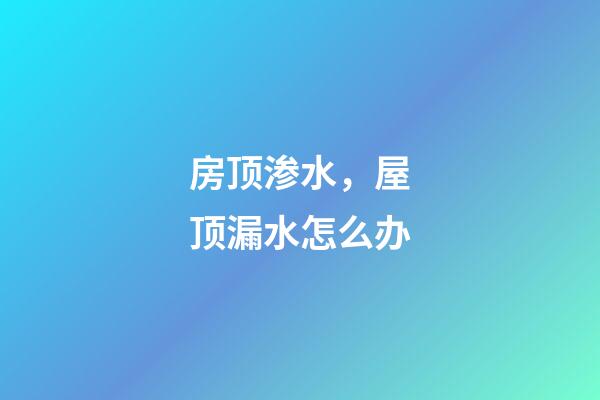 房顶渗水，屋顶漏水怎么办-第1张-观点-玄机派