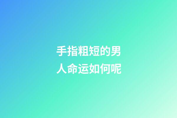 手指粗短的男人命运如何呢