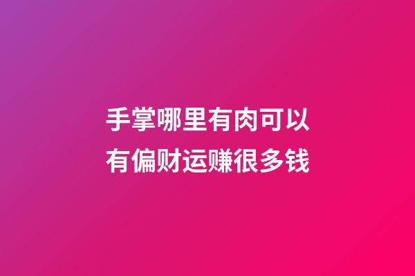 手掌哪里有肉可以有偏财运赚很多钱