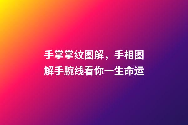 手掌掌纹图解，手相图解手腕线看你一生命运-第1张-观点-玄机派