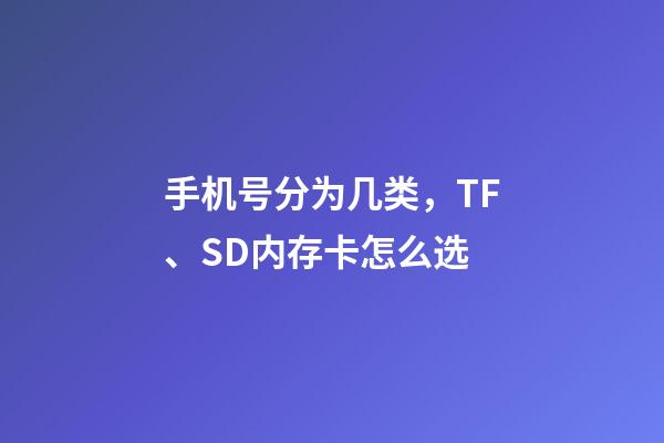 手机号分为几类，TF、SD内存卡怎么选-第1张-观点-玄机派