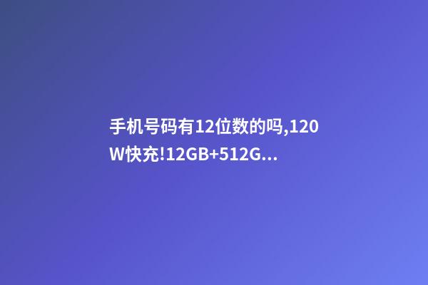 手机号码有12位数的吗,120W快充!12GB+512GB天玑9000+神机低至2799元-第1张-观点-玄机派