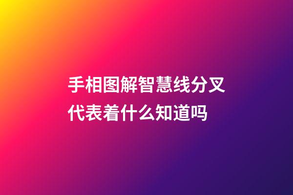 手相图解智慧线分叉代表着什么知道吗