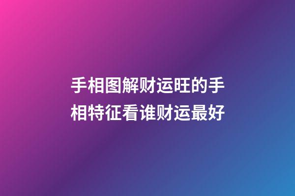 手相图解财运旺的手相特征看谁财运最好
