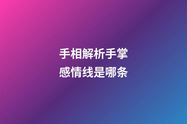 手相解析手掌感情线是哪条