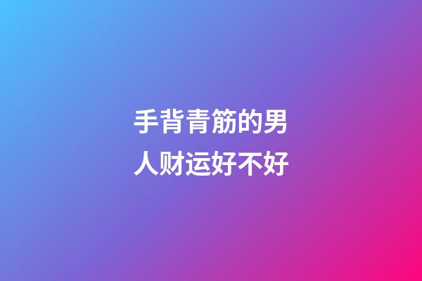 手背青筋的男人财运好不好