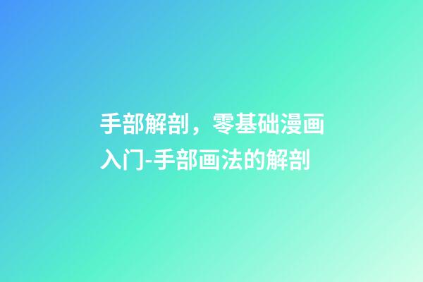 手部解剖，零基础漫画入门-手部画法的解剖-第1张-观点-玄机派