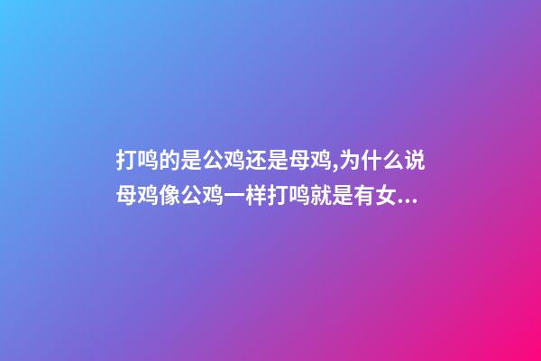 打鸣的是公鸡还是母鸡,为什么说母鸡像公鸡一样打鸣就是有女人篡权乱世-第1张-观点-玄机派