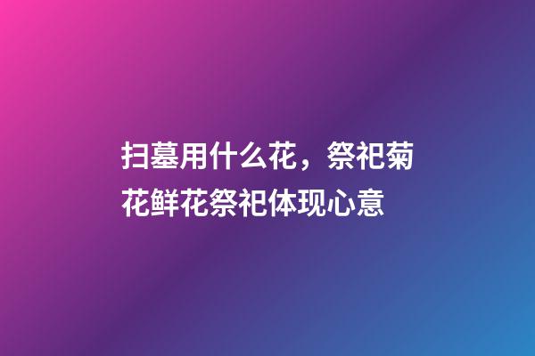 扫墓用什么花，祭祀菊花鲜花祭祀体现心意-第1张-观点-玄机派