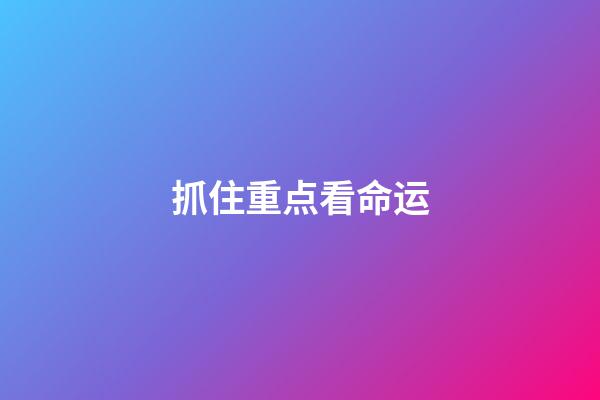 抓住重点看命运