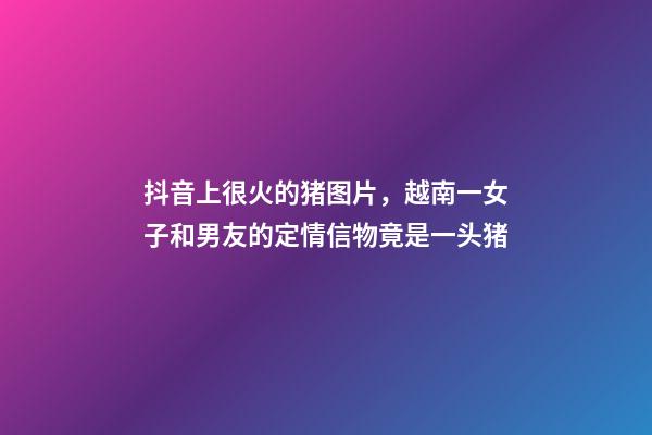 抖音上很火的猪图片，越南一女子和男友的定情信物竟是一头猪-第1张-观点-玄机派