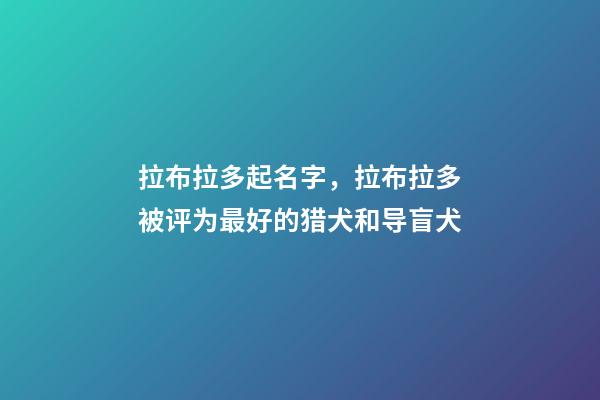 拉布拉多起名字，拉布拉多被评为最好的猎犬和导盲犬-第1张-观点-玄机派