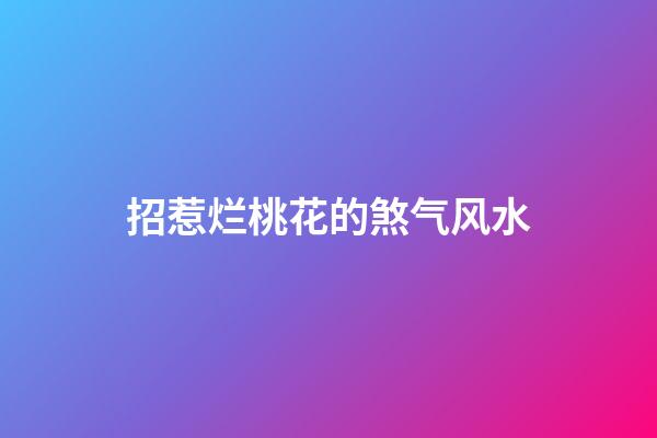 招惹烂桃花的煞气风水