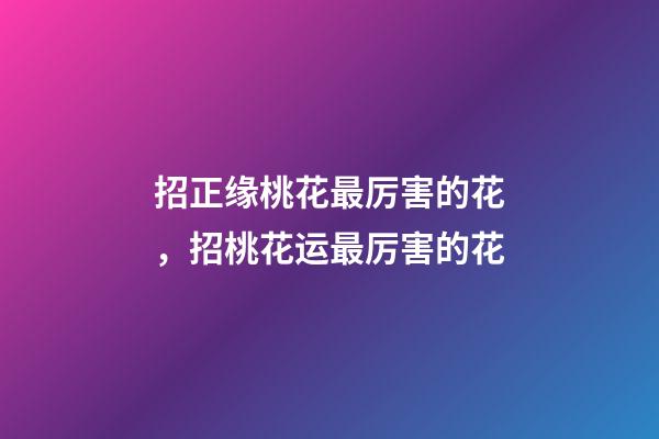 招正缘桃花最厉害的花，招桃花运最厉害的花