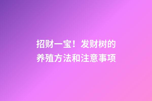 招财一宝！发财树的养殖方法和注意事项