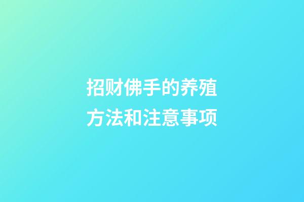 招财佛手的养殖方法和注意事项