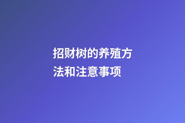 招财树的养殖方法和注意事项