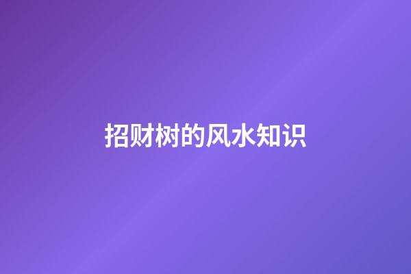 招财树的风水知识