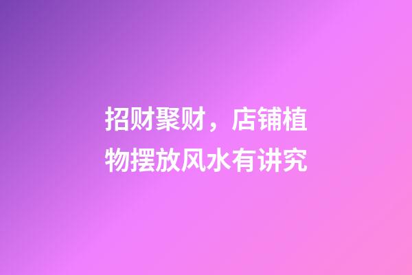 招财聚财，店铺植物摆放风水有讲究