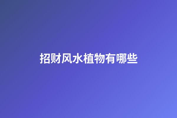 招财风水植物有哪些