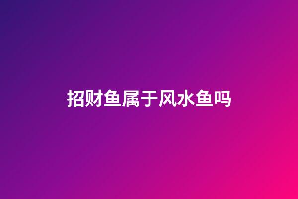 招财鱼属于风水鱼吗