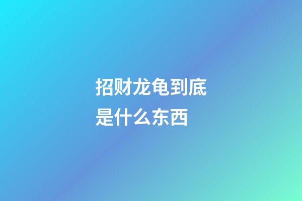 招财龙龟到底是什么东西?