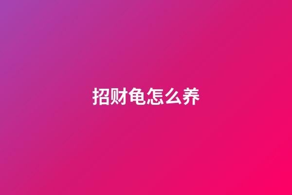 招财龟怎么养