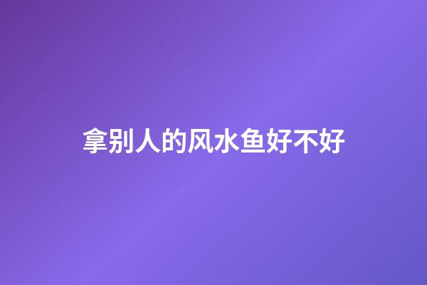 拿别人的风水鱼好不好