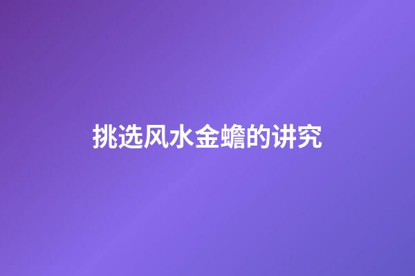 挑选风水金蟾的讲究