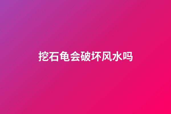 挖石龟会破坏风水吗