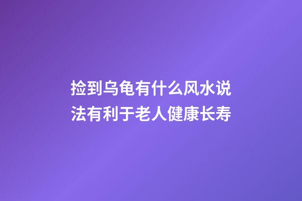 捡到乌龟有什么风水说法?有利于老人健康长寿