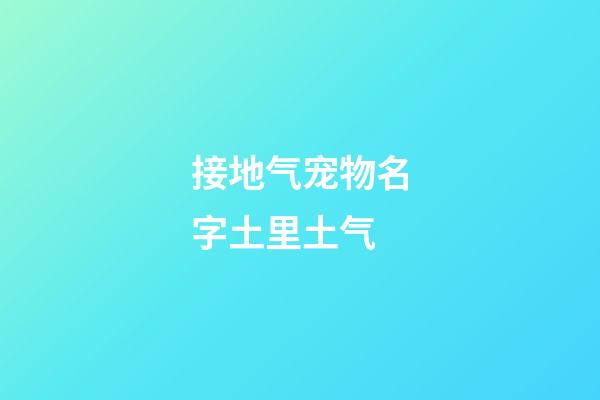 接地气宠物名字土里土气