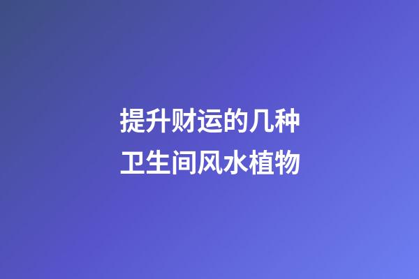 提升财运的几种卫生间风水植物
