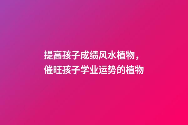 提高孩子成绩风水植物，催旺孩子学业运势的植物