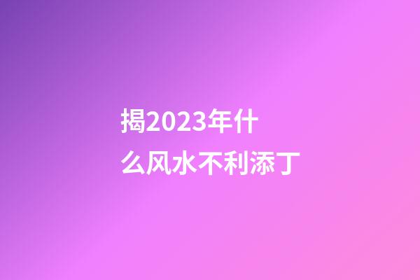 揭2023年什么风水不利添丁