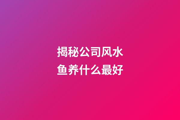 揭秘公司风水鱼养什么最好