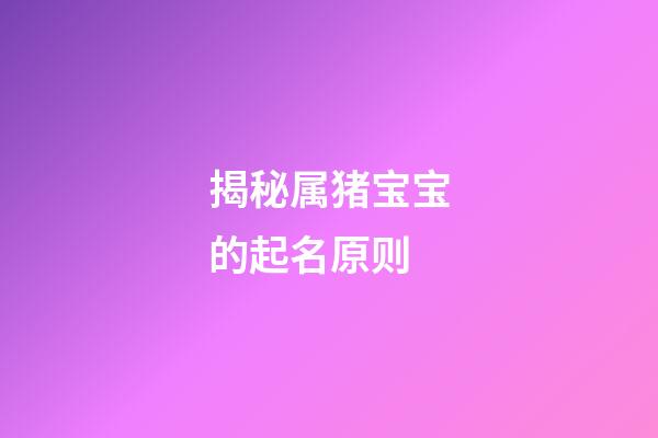 揭秘属猪宝宝的起名原则