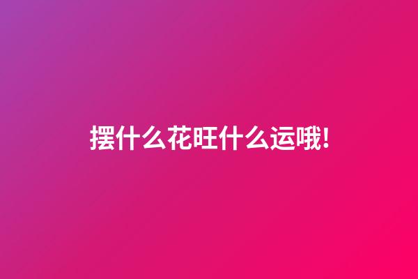 摆什么花旺什么运哦!