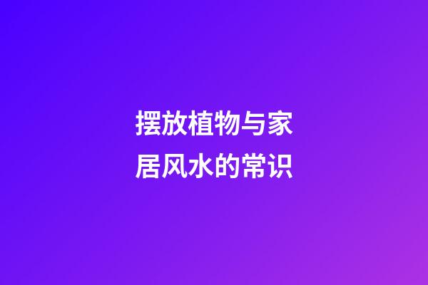 摆放植物与家居风水的常识