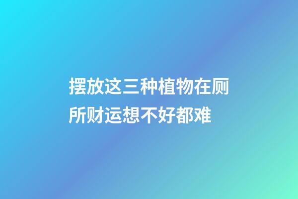 摆放这三种植物在厕所财运想不好都难