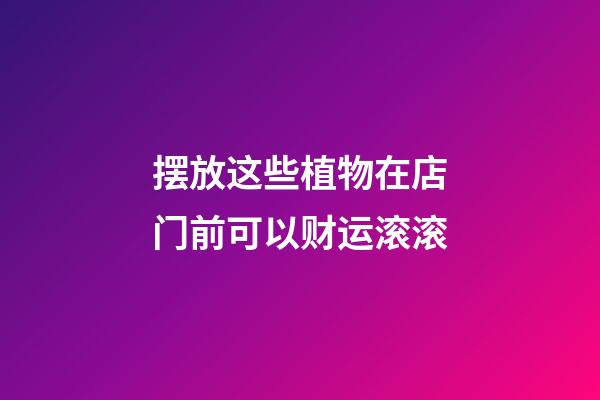 摆放这些植物在店门前可以财运滚滚