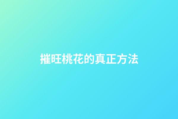 摧旺桃花的真正方法