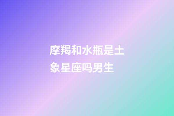 摩羯和水瓶是土象星座吗男生-第1张-星座运势-玄机派