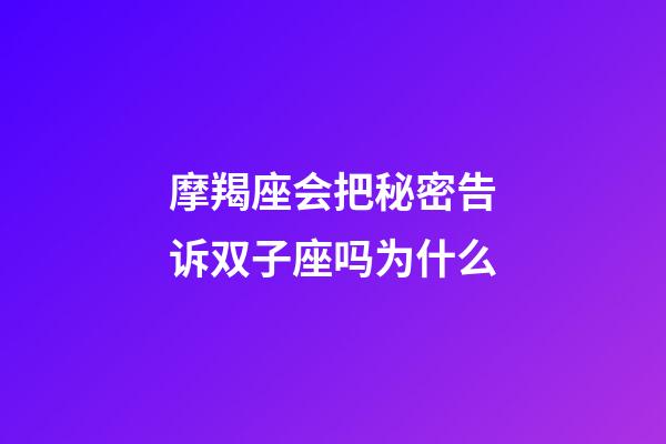 摩羯座会把秘密告诉双子座吗为什么-第1张-星座运势-玄机派